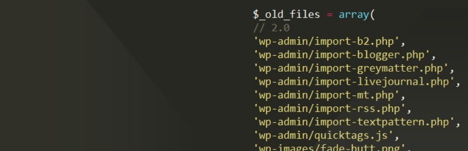 پاک سازی هاست از فایل های بی استفاده در وردپرس با Old Core Files