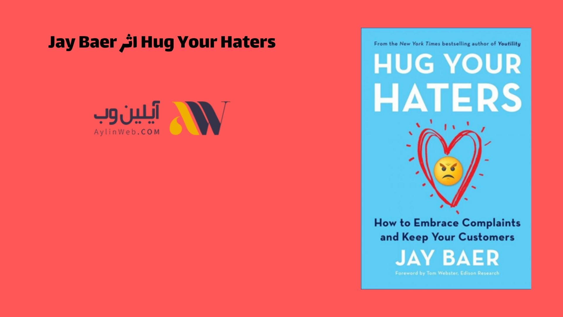 Hug Your Haters اثر Jay Baer