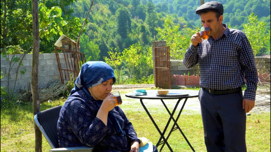 درست کردن دلمه به سبک روستایی - زندگی روستایی