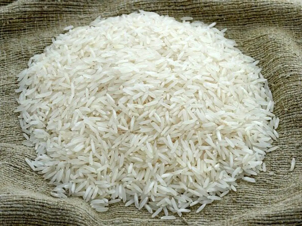 تغییر مهم در توزیع برنج وارداتی