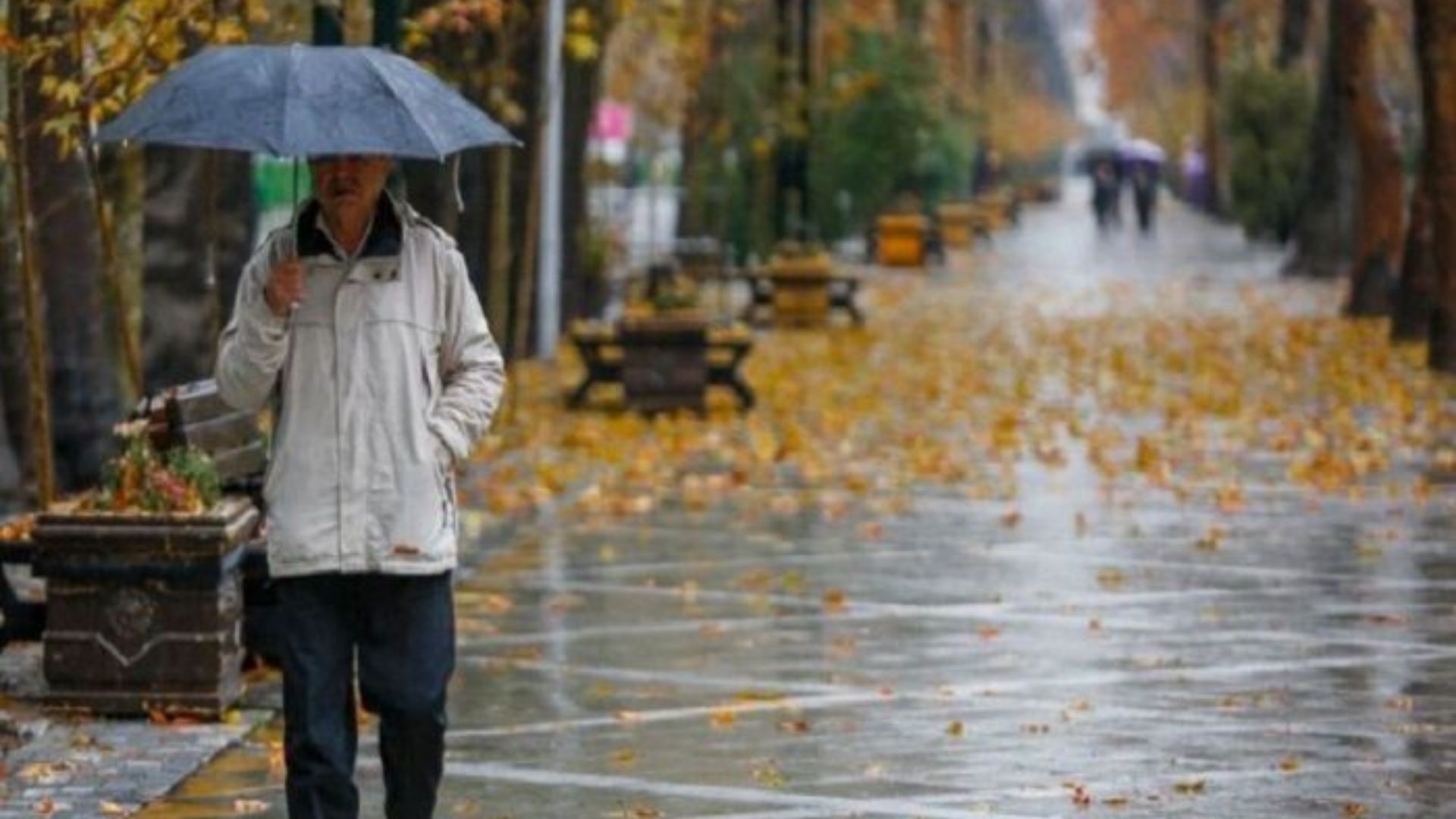 چتر به دست باشید/ از امروز باران پاییزی تهران را غافلگیر می‌کند +هواشناسی ۲ روز آینده