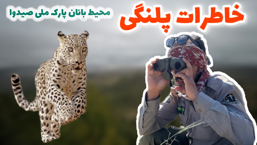 خاطرات پلنگی محیط بانان پارک ملی صیدوا