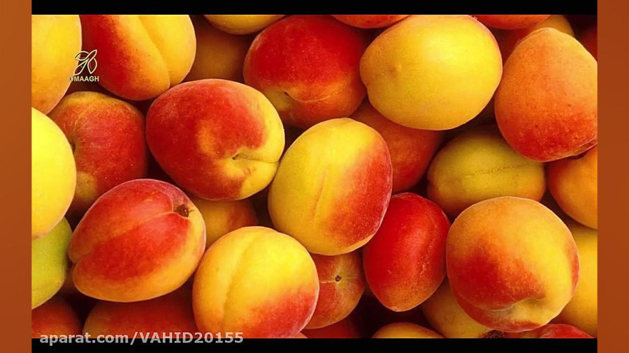 خواص و فواید میوه زردآلو برای سلامتی