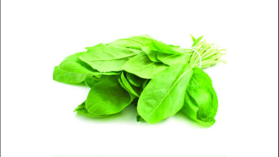 خواص و مضرات عجیب شاهی