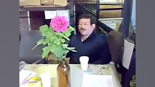 خورشید پشتش به ماست چه فکر کرده