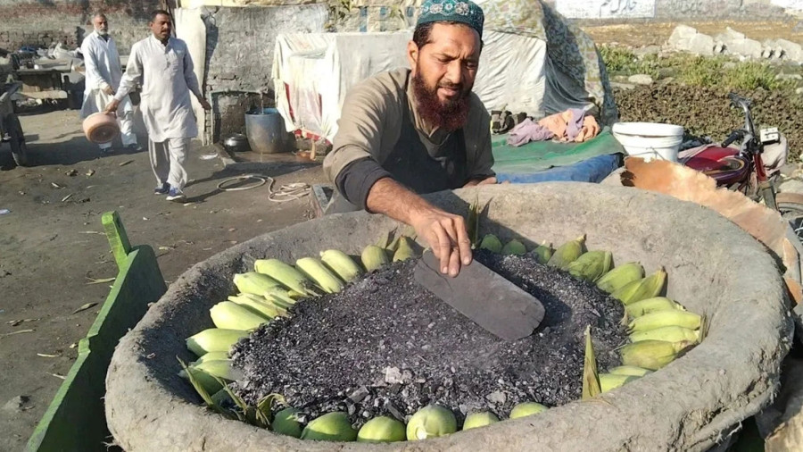 غذای خیابانی در پاکستان؛ پخت بلال در ماسه داغ در پنجاب