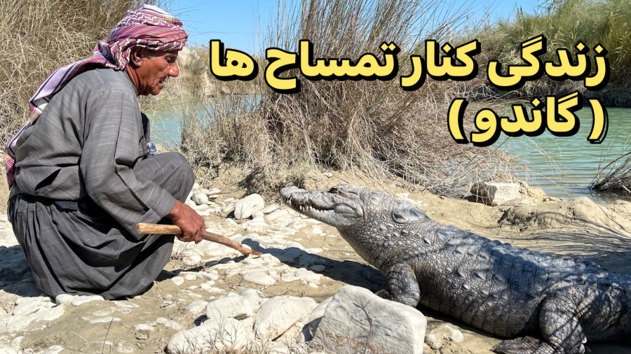 مردی که کنار تمساح ها زندگی می‌کنه ، ملک دینار شجره ؛ پدر گاندو ها