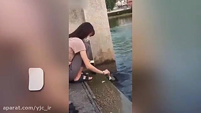 حمله ناگهانی بزمجه به یک زن و دو لاک پشت‌