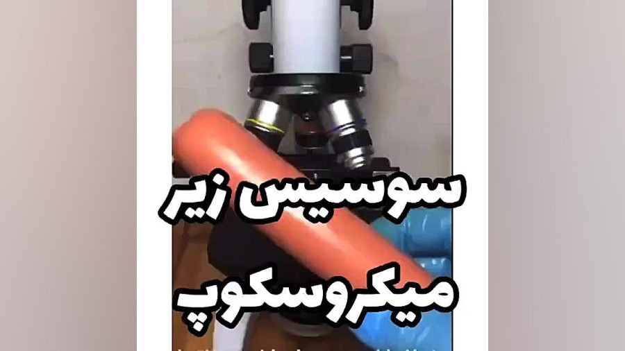 سوسیس زیر میکروسکوپ