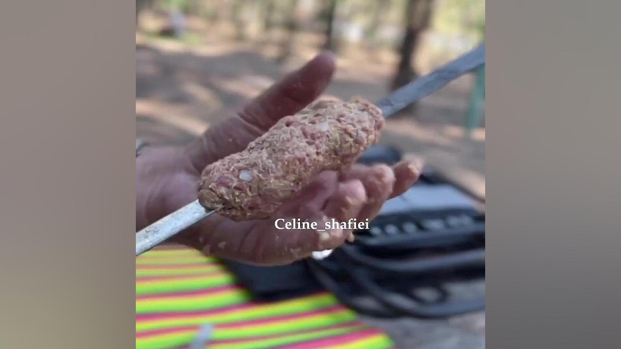 کوبیده سنگدان مرغ