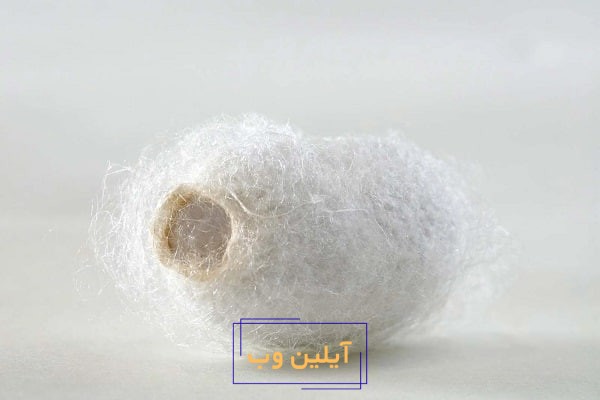تعبیر خواب ابریشم