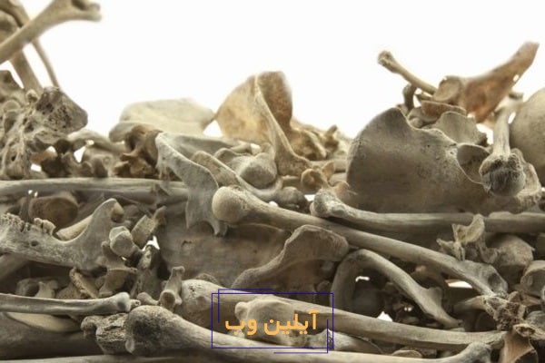 تعبیر خواب استخوان