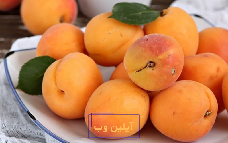 تعبیر خواب زردآلو