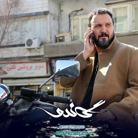 بازی کامبیز دیرباز در سریال گاندو