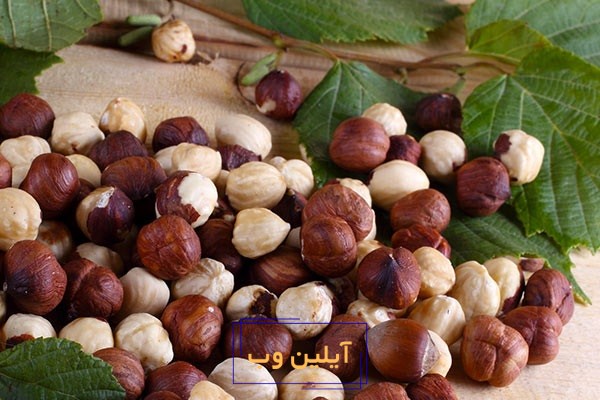 تعبیر خواب فندق