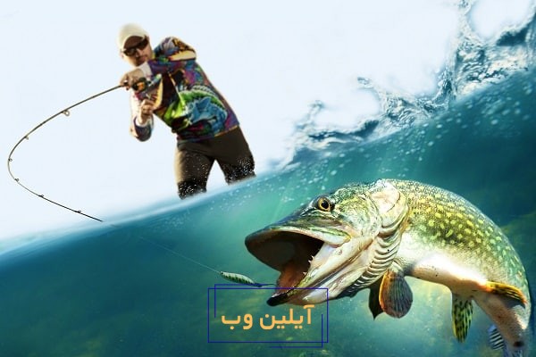تعبیر خواب ماهیگیری و صید