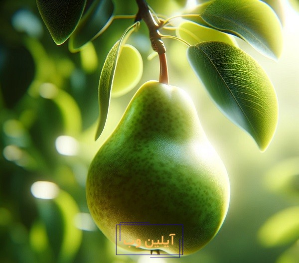 تعبیر خواب گلابی