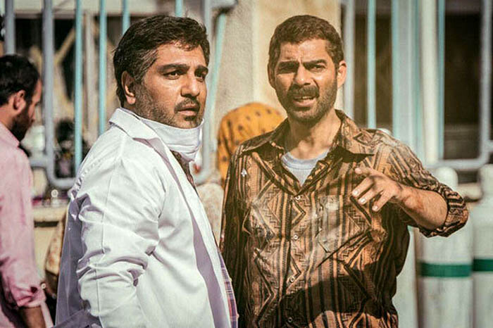 نقد فیلم درخت گردو