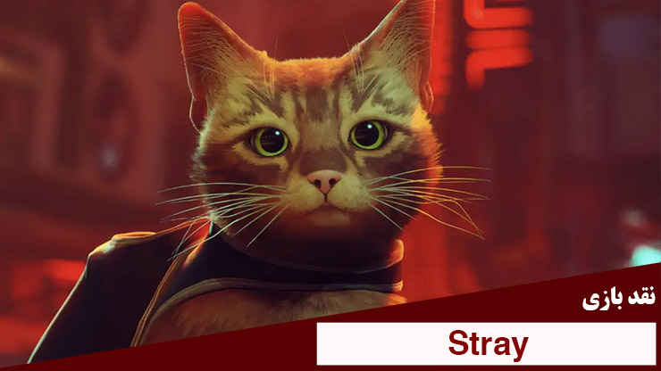 نقد بازی Stray