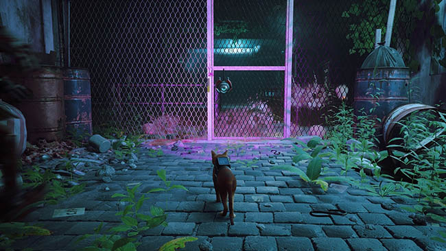 نقد بازی Stray