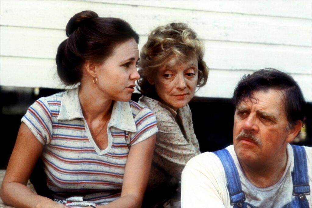 ۷- Norma Rae (1979)