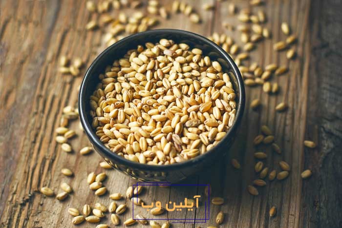 کاسه برکت گندم در فنگ شویی ثروت