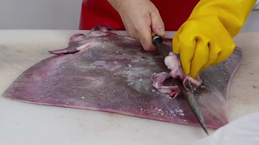 غذای خیابانی در کره؛ تهیه کیمچی با سفره ماهی در سئول