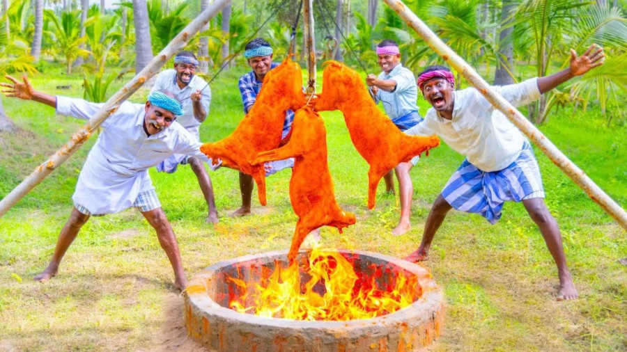 غذای روستایی در هند؛ پخت بریانی با 3 بز در تنور زیر زمینی