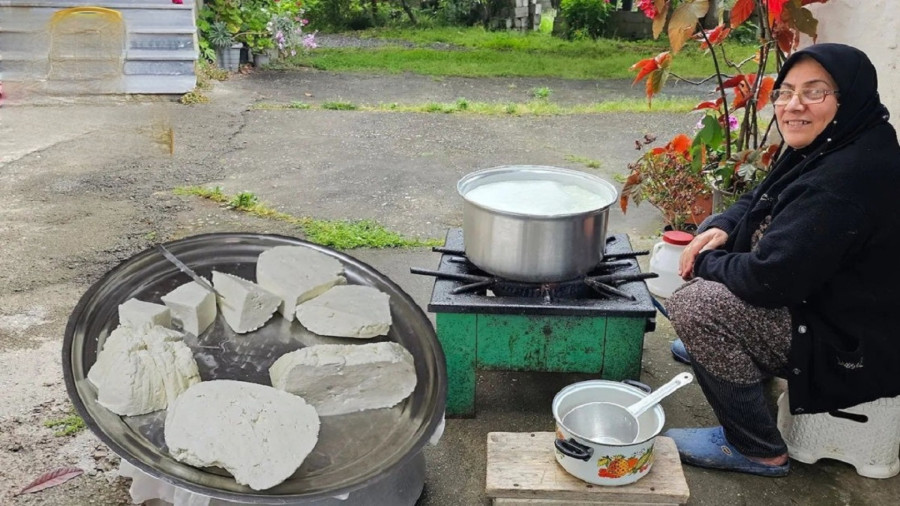 پنیر روستایی در 5 دقیقه: سادهترین روش برای تهیه پنیر خانگی