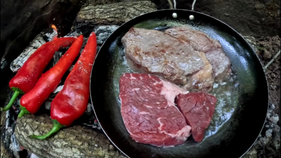 ۲ روز آرامش مطلق و فرار از شهر با کمپینگ به همراه سگم در اعماق جنگلهای انبوه