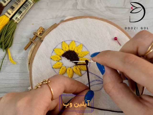 گلآیلین وب آفتاب گردان به صورت برزیلی