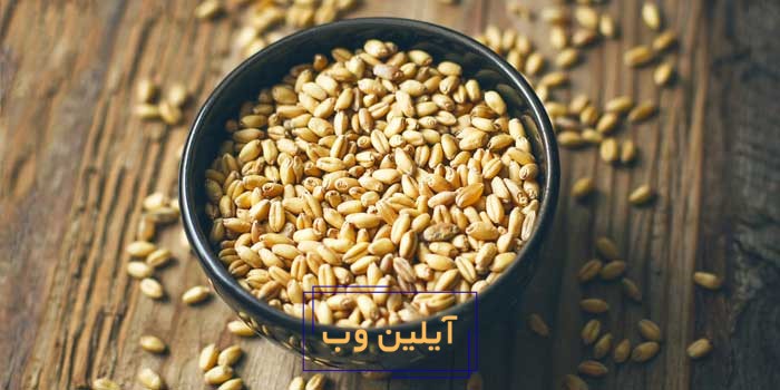 کاسه برکت گندم در فنگ شویی