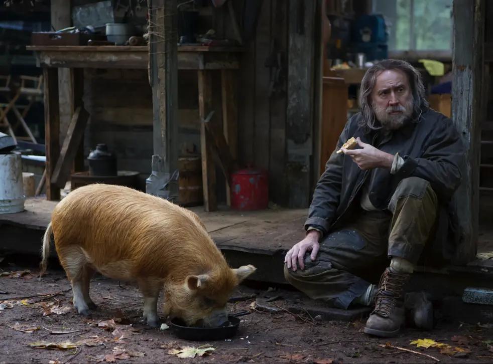 نقد فیلم خوک (pig)