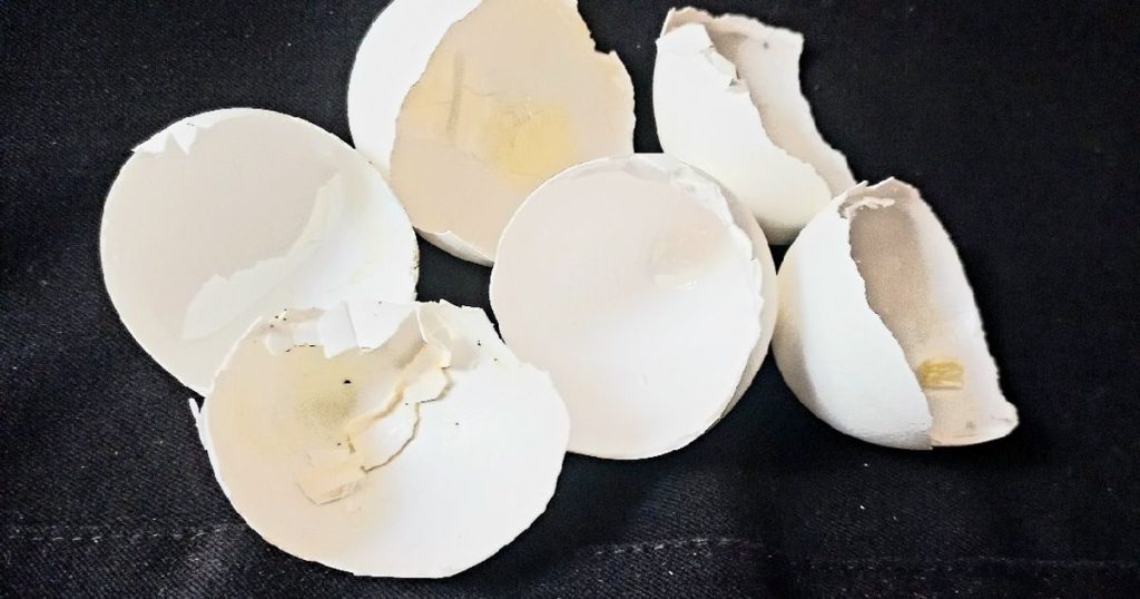 (آشپزخانه + بازیافت): تیز کردن تیغ مخلوطکن با پوست تخممرغ (معجزه!)