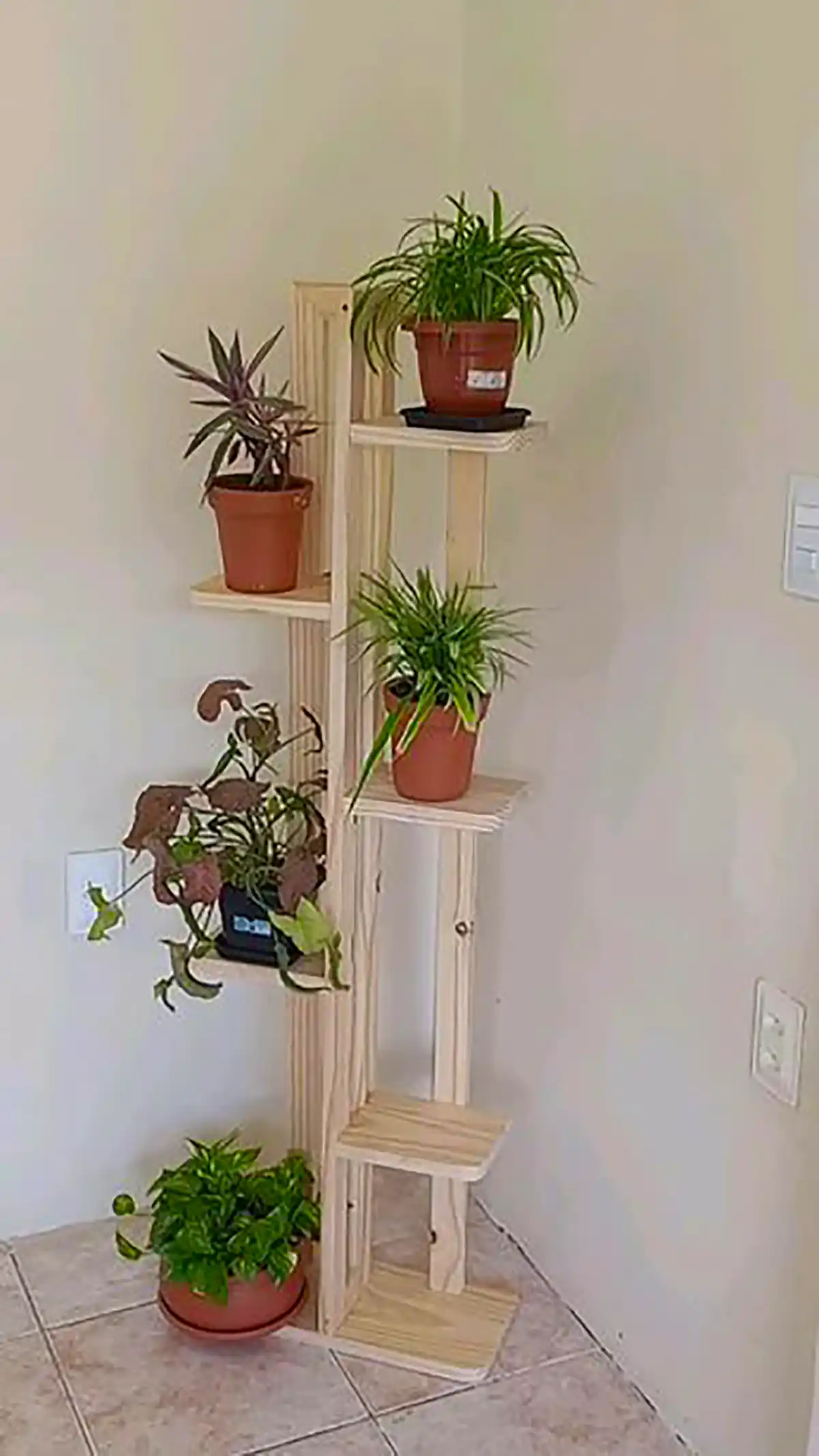 استند چوبی گل شیک