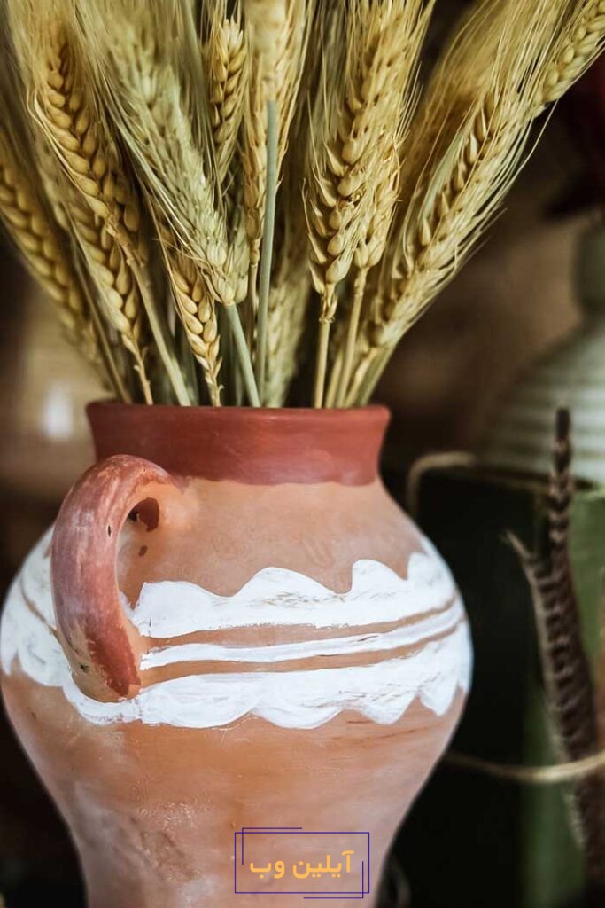 عکس خوشه گندم در فنگ شویی