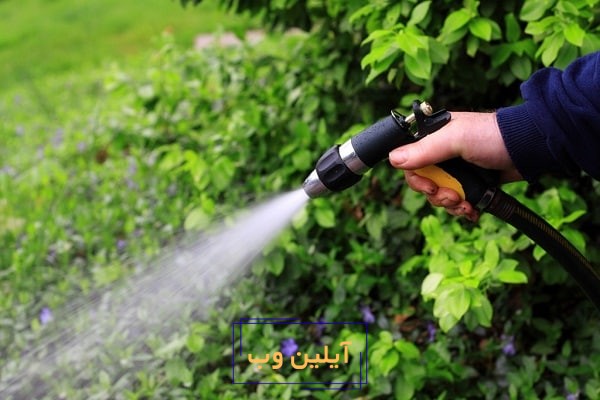 تعبیر خواب آبیاری