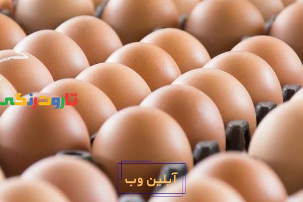 تعبیرخواب تخم مرغ