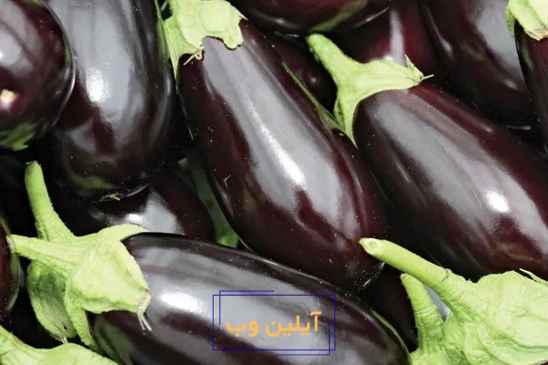 تعبر خواب بادمجان