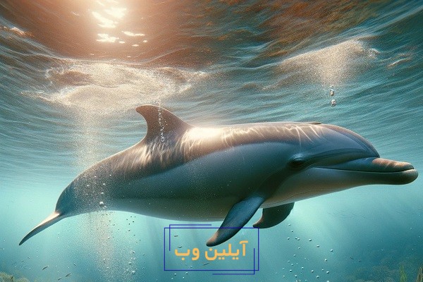 تعبیر خواب دلفین