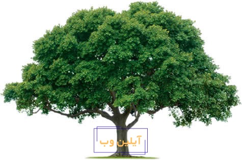 فال درخت