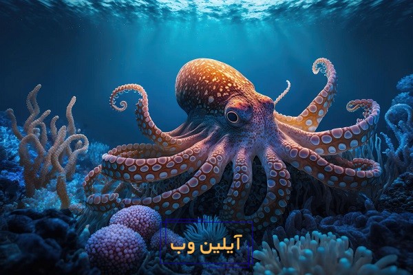 تعبیر خواب هشت پا