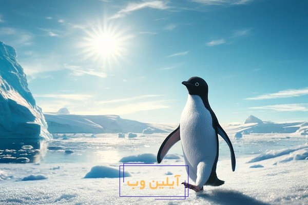 تعبیر خواب پنگوئن