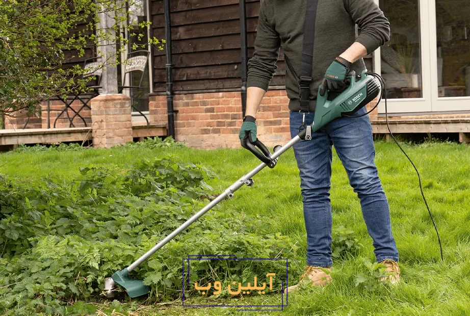 حاشیه‌ زن بوش