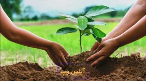 درختکاری لذت‌بخش با ابزارهای حرفه‌ای باغبانی!