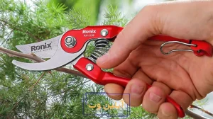 ابزار باغبانی برای مراقبت از گیاهان آپارتمانی: نکات و توصیه ها