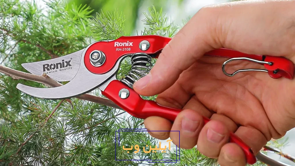 ابزار باغبانی برای مراقبت از گیاهان آپارتمانی: نکات و توصیه ها