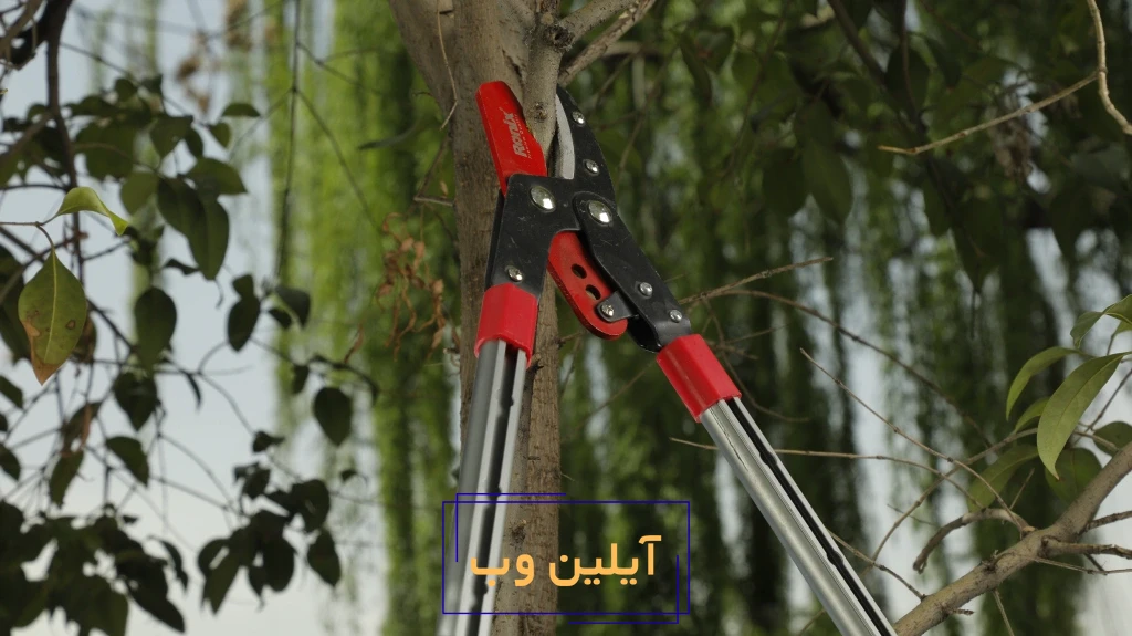 بهترین برند شاخه‌ زن: معرفی پرفروش‌ترین و باکیفیت‌ترین برند شاخه‌زن