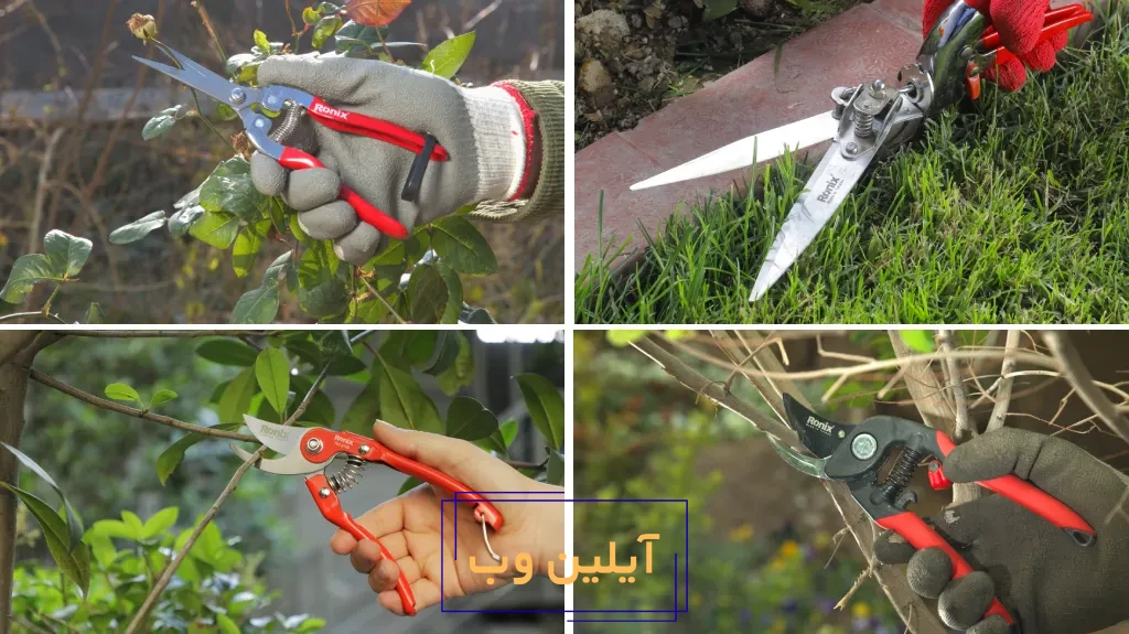 راهنمای خرید قیچی باغبانی بر اساس نوع گیاه و کاربرد