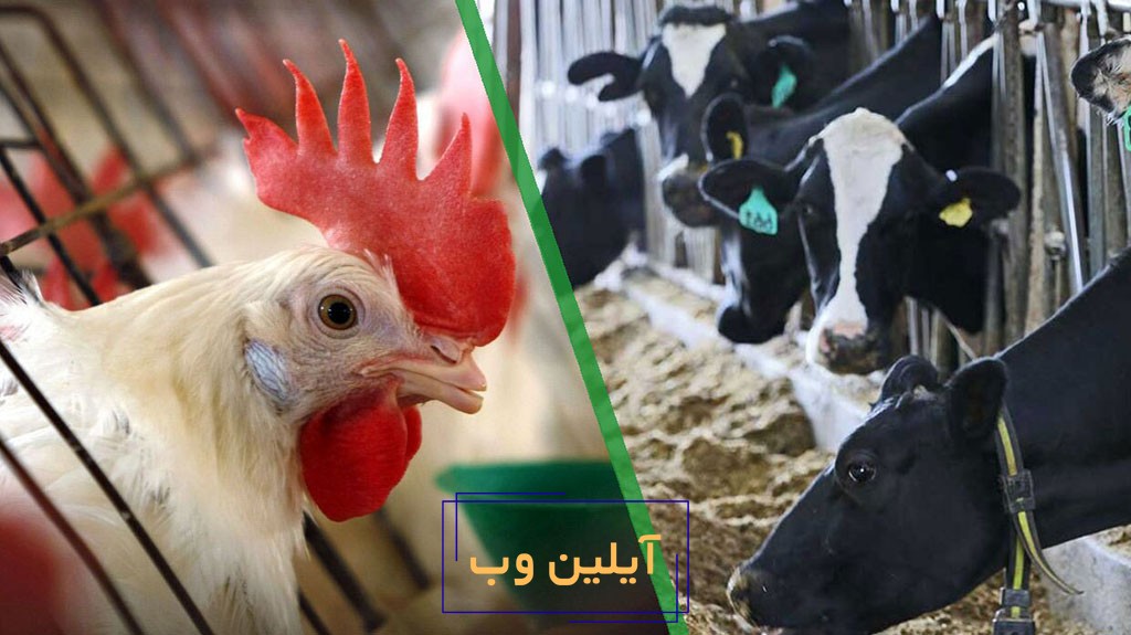 موتور برق برای مرغداری و دامداری کوچک
